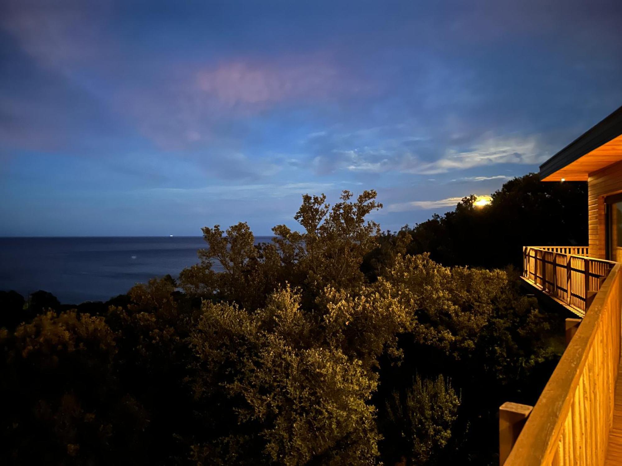 Villa L'Alpana En Bois Vue Mer A 180 Degres ซารี โซเลนซารา ภายนอก รูปภาพ